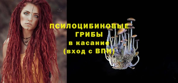 2c-b Карталы