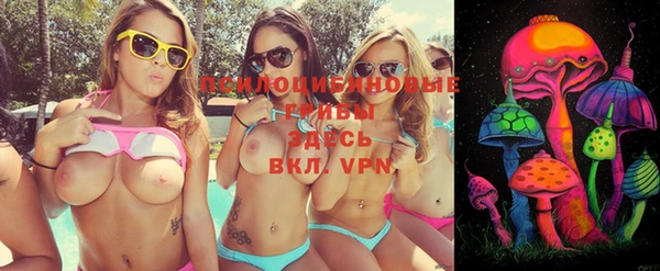 2c-b Карталы