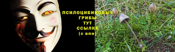 2c-b Карпинск